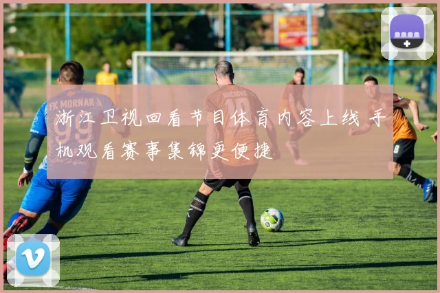 浙江卫视回看节目体育内容上线 手机观看赛事集锦更便捷