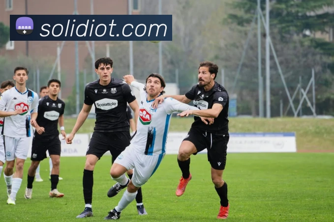 九游官网官方入口平台生态图